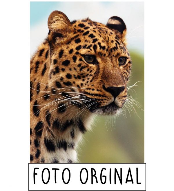 Cuadro Realismo de Mascota en la imagen es la Foto original que aparece un leopardo